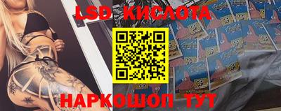 spice Гусев