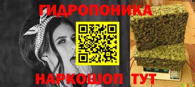 мяу мяу мука Гусиноозёрск