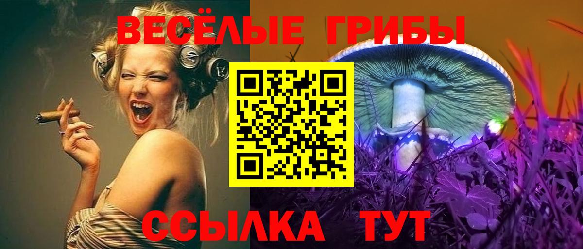 Псилоцибиновые грибы мухоморы  Вход с VPN  Псилоцибиновые грибы мухоморы  Дедовск 